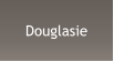 Douglasie